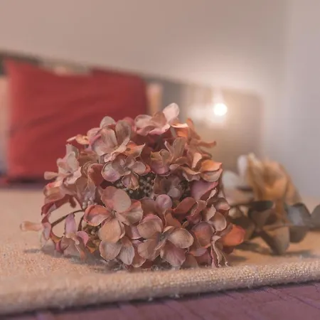 Bed and breakfast Casole Living 3*