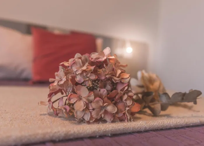 Couette-café Casole Living 3*